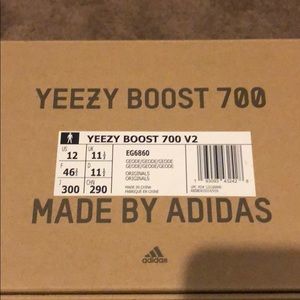 Yeezy Boost 700 Geode